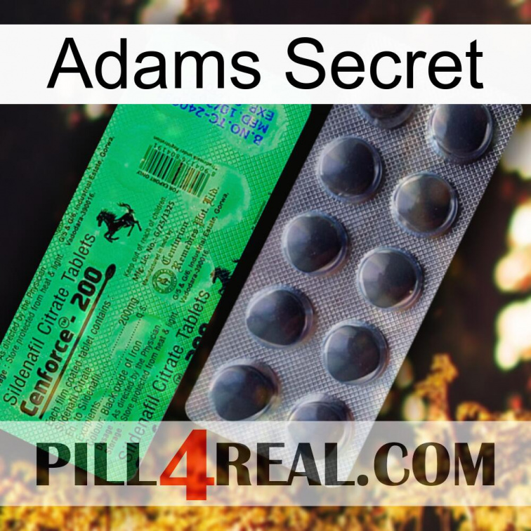 Adams Secret new04